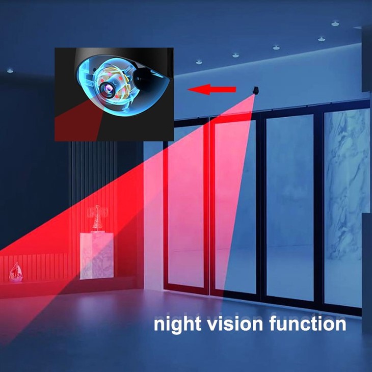 Face Recognition Camera Access System